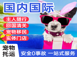 南昌空运公司国际宠物托运 【国